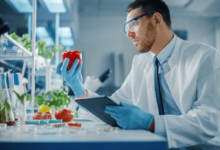The Role of Food Display Innovations in Ensuring Quality and Safety
