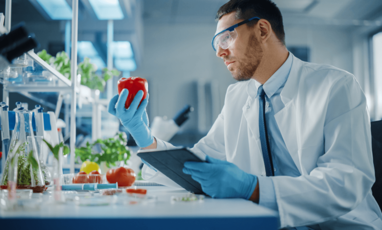 The Role of Food Display Innovations in Ensuring Quality and Safety