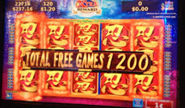 Jackpot Chronicles: Tales of Near Misses and Million-Dollar Spins