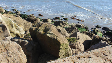Rock Revetment Design: A Complete Guide to Coastal Protection