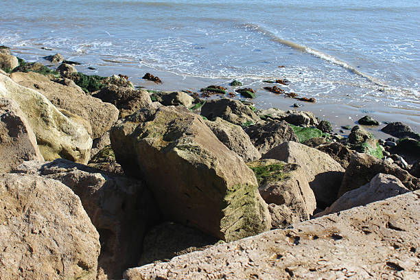 Rock Revetment Design: A Complete Guide to Coastal Protection