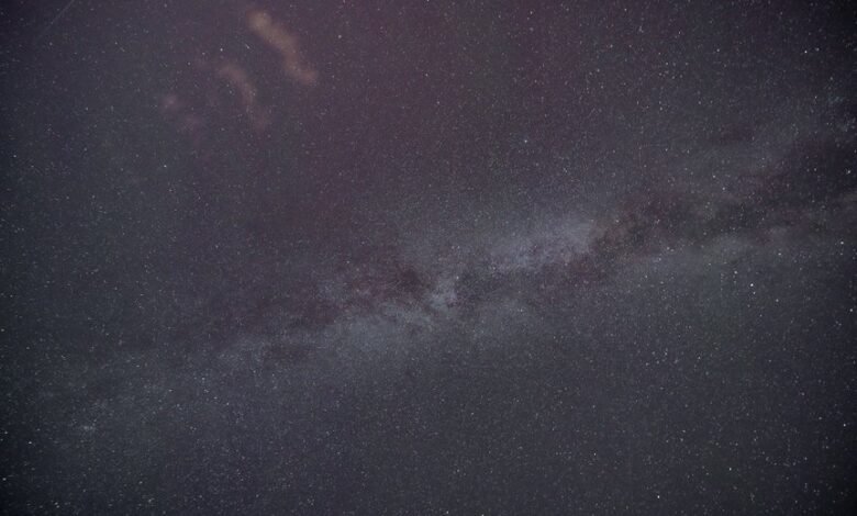 amplify insights for conversions