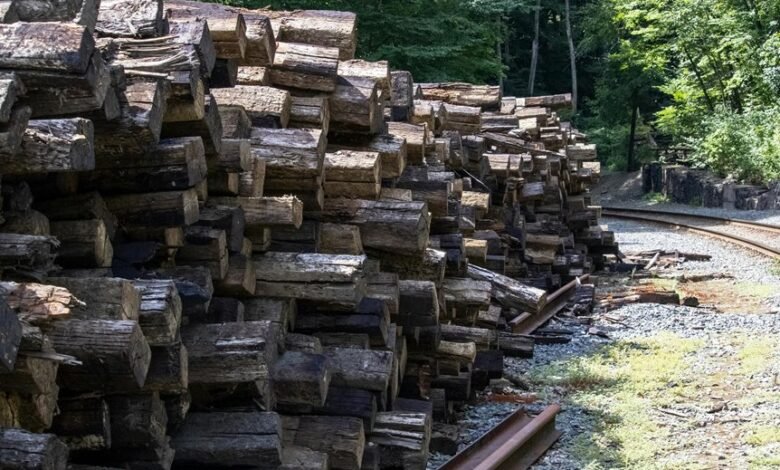 network tracking tied to 3478435466863762 feedback logs