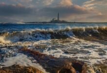 pioneer beacon edge audience