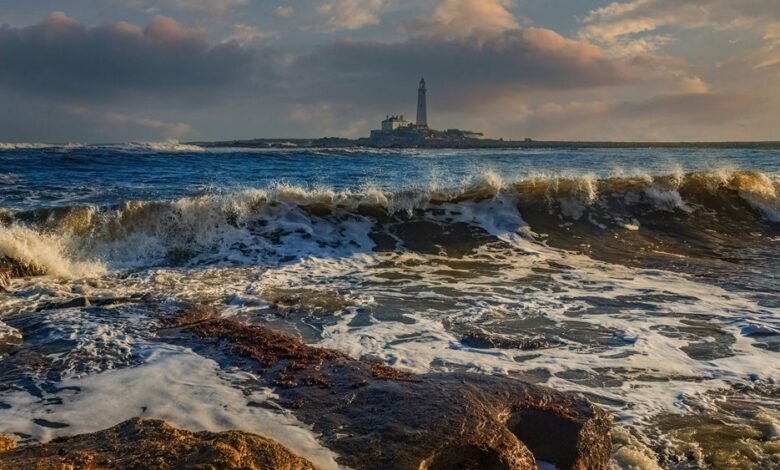 pioneer beacon edge audience