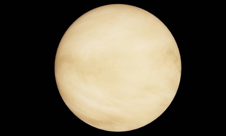 radiant orbit marketing path