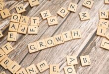 business growth framework identifier 8337931057