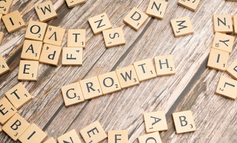 business growth framework identifier 8337931057