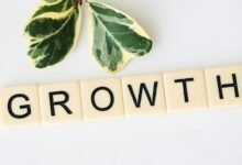 digital growth system name