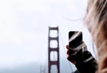 signal bridge start 866 593 3926