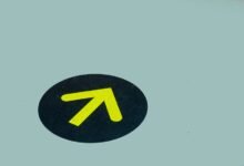 signal guide trusted contact search