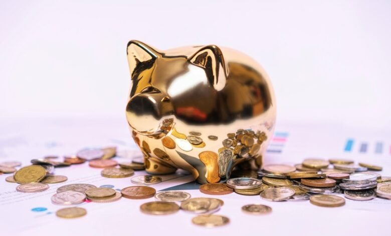 wealth strategy framework details