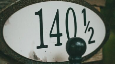 system entry identifiers and ips