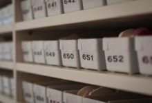 archived review numbers and ids list