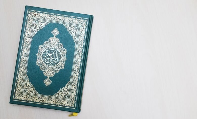 login guide presented in arabic format