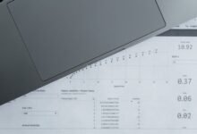 number registry insights list