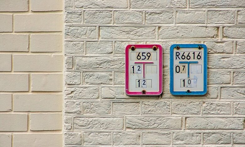 phone number lookup results listed with multiple numbers