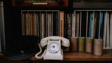 phone number lookup summaries provided