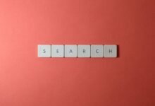 phone number registry profile search list