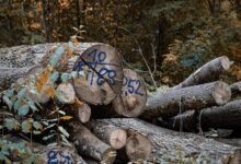 phone number verification log list
