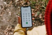 phone numbers list multiple records