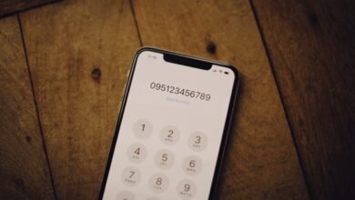 phone numbers list provided