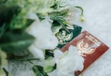 view number registry documents for listed ids